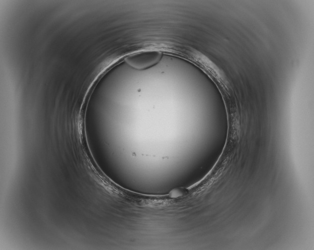 X0000116441284200912151232
