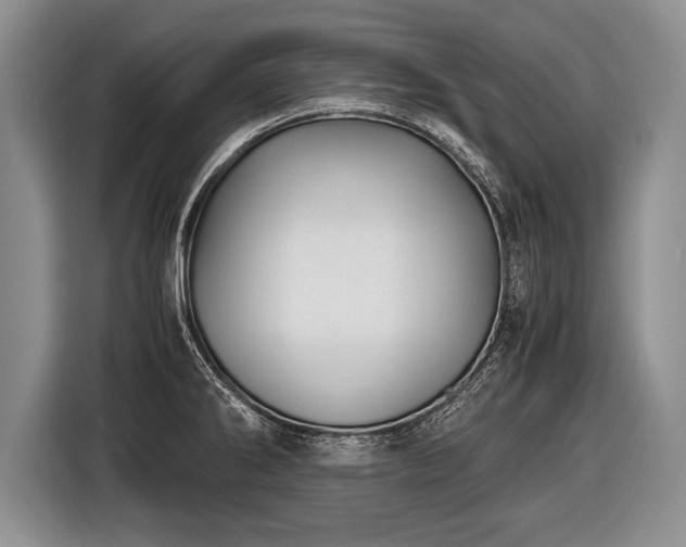 X0000116441286200912151232