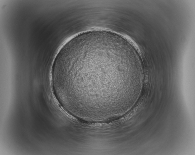 X0000116441287200912151232