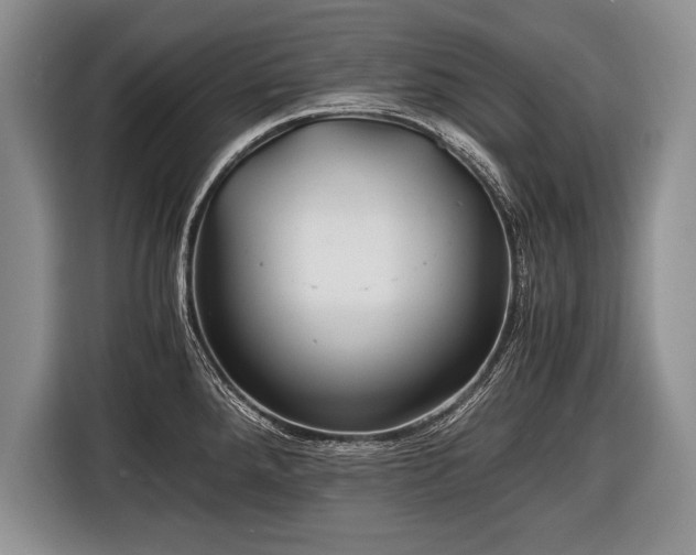 X0000116441288200912151232