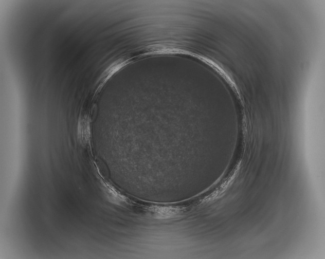 X0000116441289200912151232