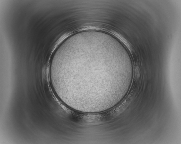 X0000116441290200912151232