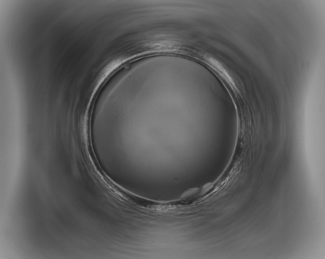 X0000116441291200912151232