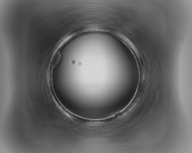 X0000116441293200912151232