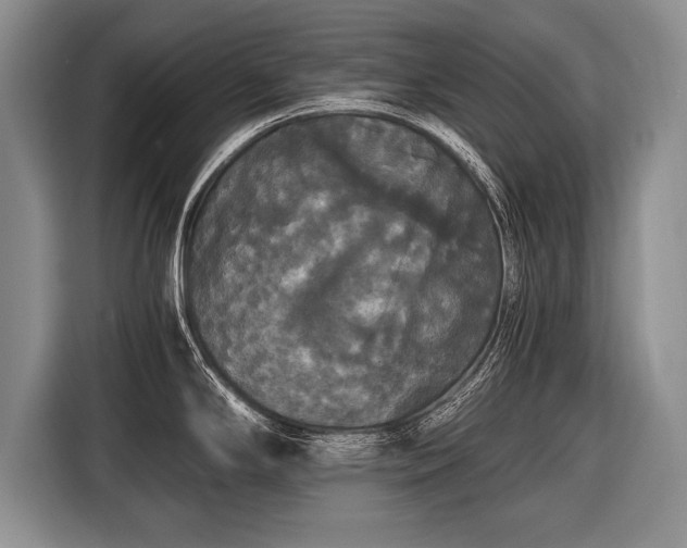 X0000116441294200912151232