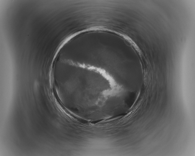 X0000116441295200912151232