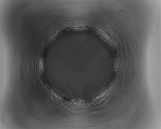 X0000116441298200912151232