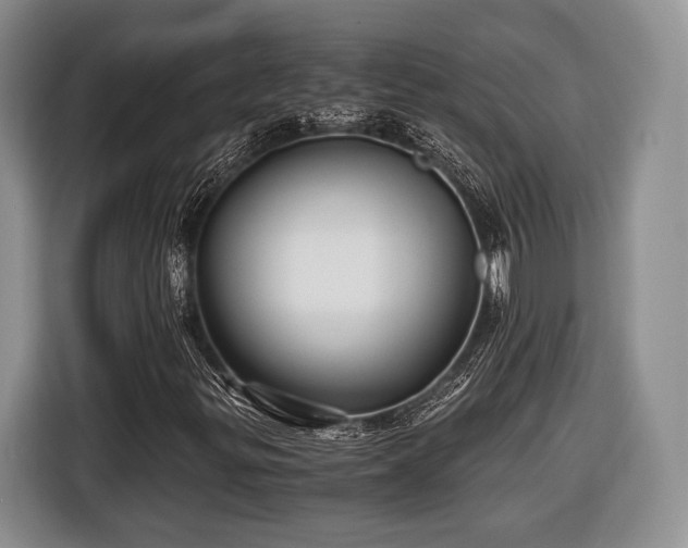 X0000116441299200912151232