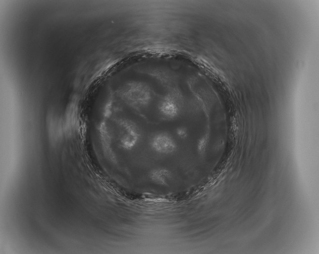 X0000116441302200912151232