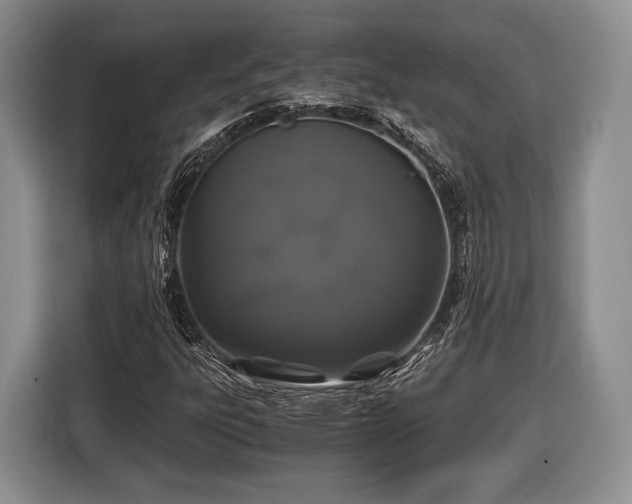 X0000116441303200912151232