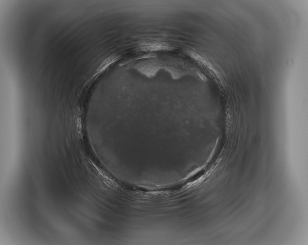 X0000116441305200912151232