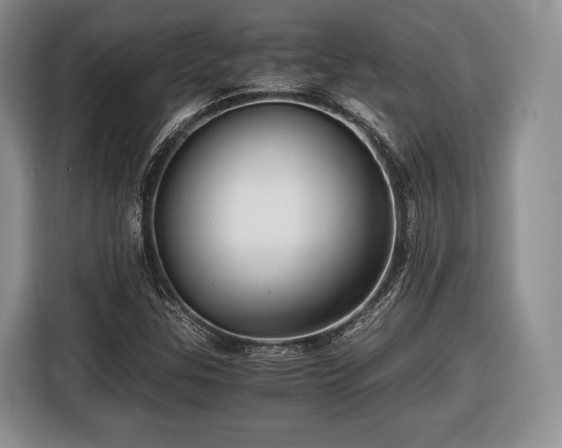 X0000116441307200912151232