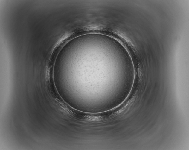 X0000116441309200912151232