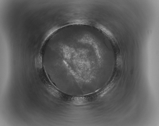 X0000116441310200912151232