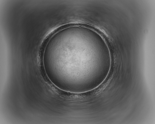 X0000116441311200912151232