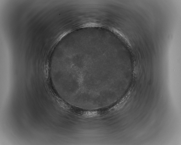 X0000116441313200912151232