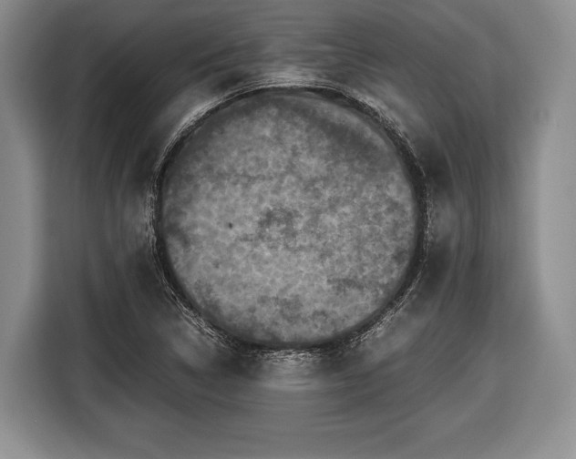 X0000116441314200912151232