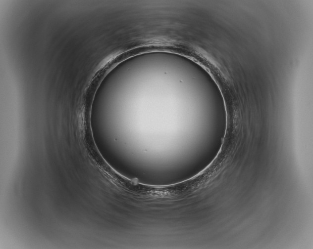 X0000116441315200912151232