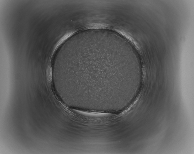 X0000116441317200912151232