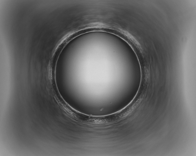 X0000116441318200912151232
