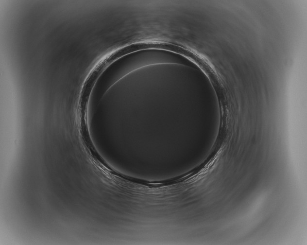 X0000116441319200912151232