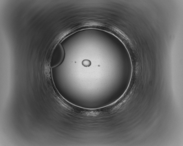 X0000116441321200912151232