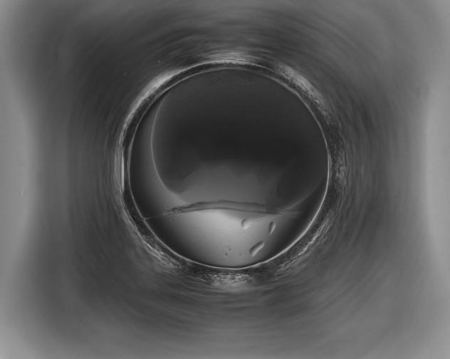 X0000116441323200912151232