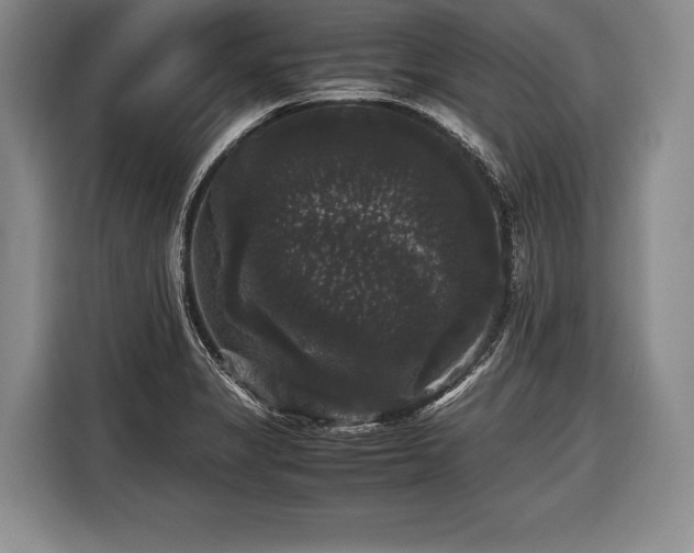 X0000116441325200912151232