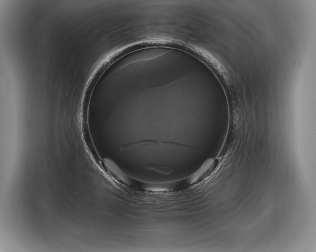 X0000116441327200912151232