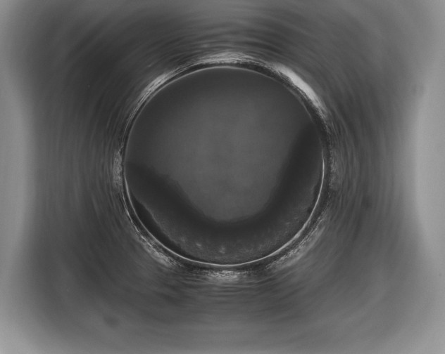 X0000116441329200912151232