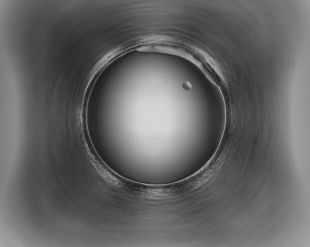 X0000116441330200912151232