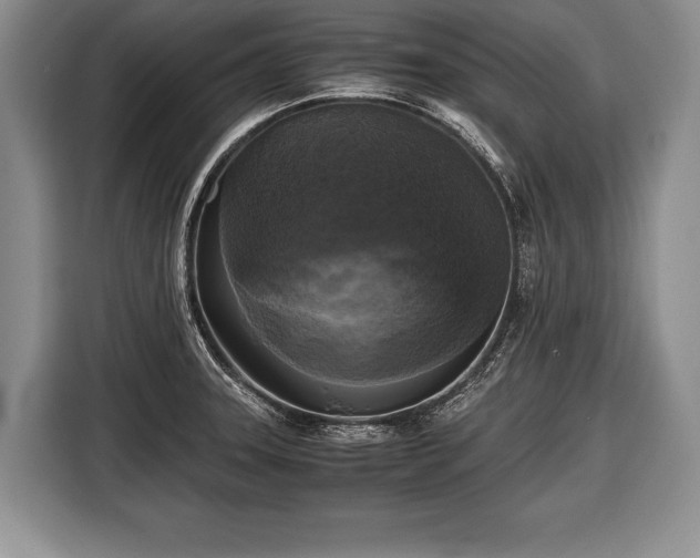 X0000116441331200912151232
