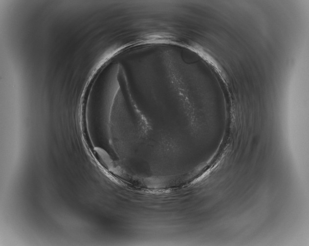 X0000116441333200912151232