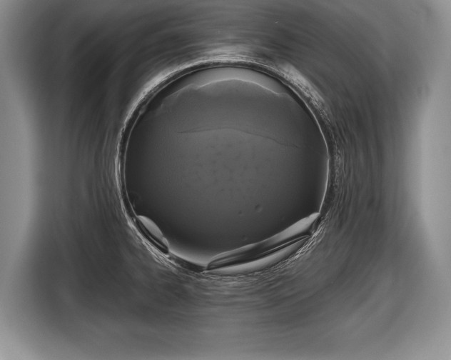X0000116441334200912151232