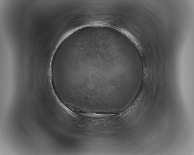 X0000116441335200912151232