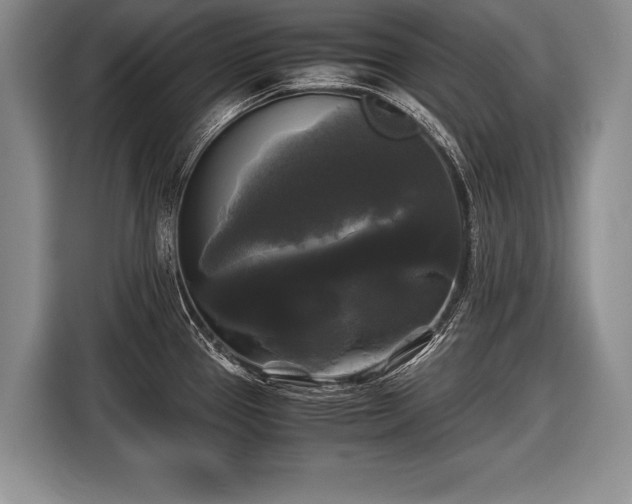 X0000116441337200912151232