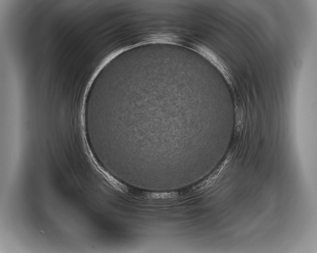 X0000116441339200912151232