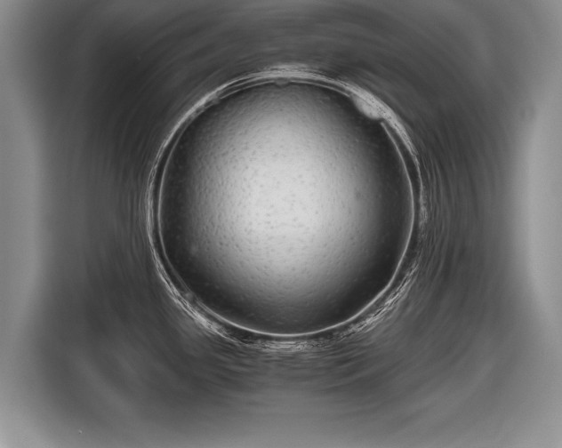 X0000116441341200912151232