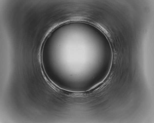 X0000116441342200912151232