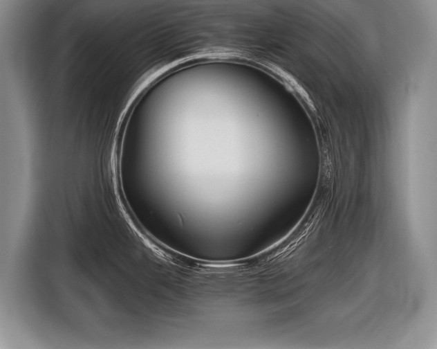 X0000116441343200912151232
