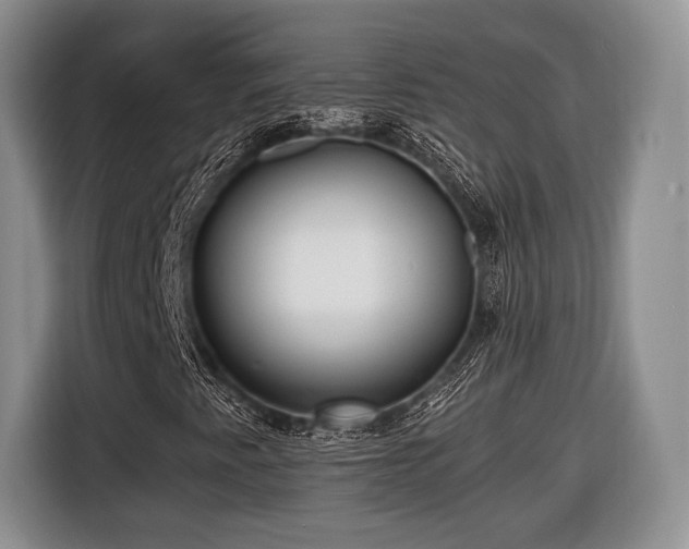 X0000116441345200912151232