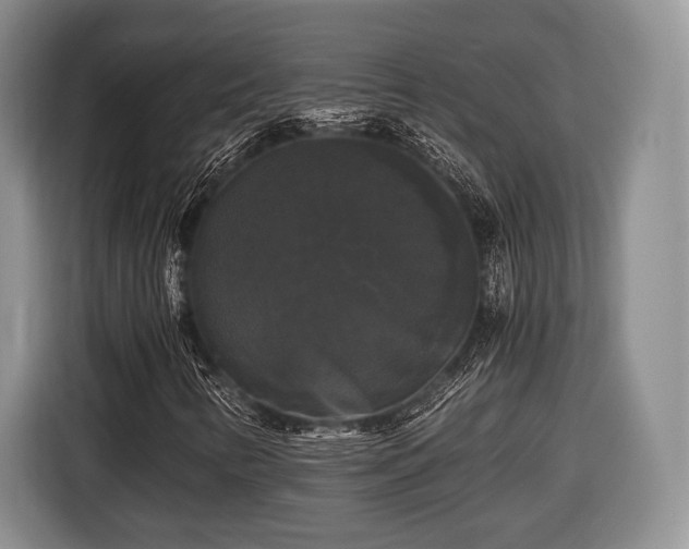 X0000116441346200912151232
