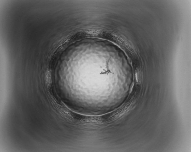 X0000116441347200912151232
