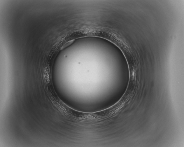 X0000116441348200912151232