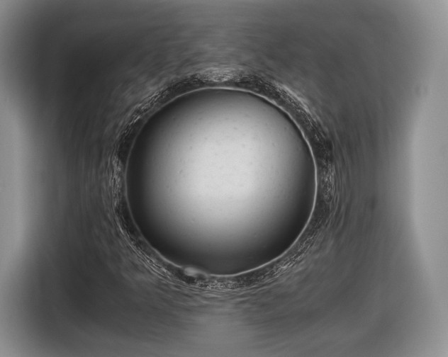 X0000116441349200912151232