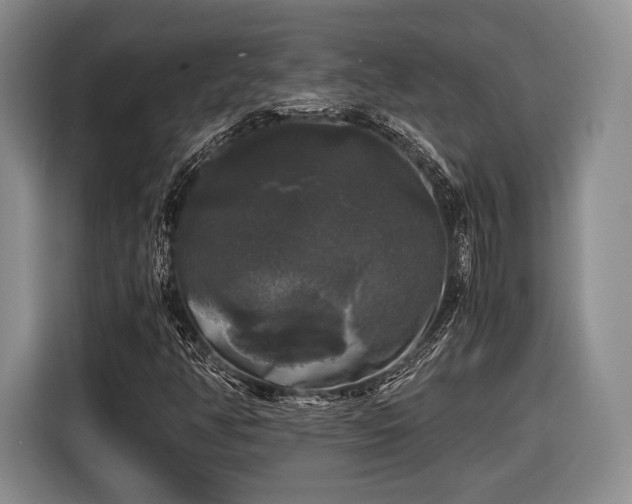 X0000116441350200912151232