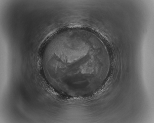 X0000116441351200912151232