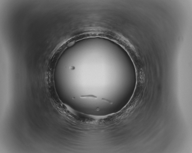 X0000116441352200912151232