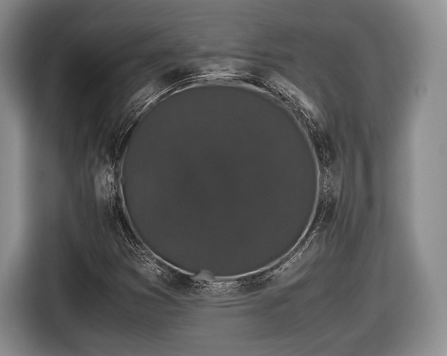 X0000116441353200912151232