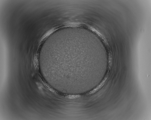 X0000116441354200912151231